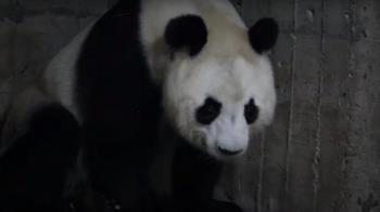 El segundo en la historia del centro