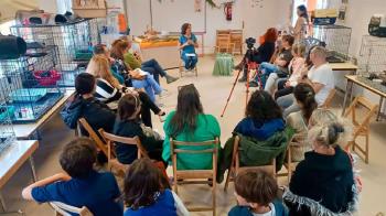 La iniciativa incluye talleres formativos, jornadas educativas, charlas en colegios y la Feria de Voluntariado Animal del 22 de noviembre