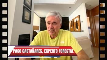 Hablamos con el experto forestal sobre los incendios que amenazan la geografía española