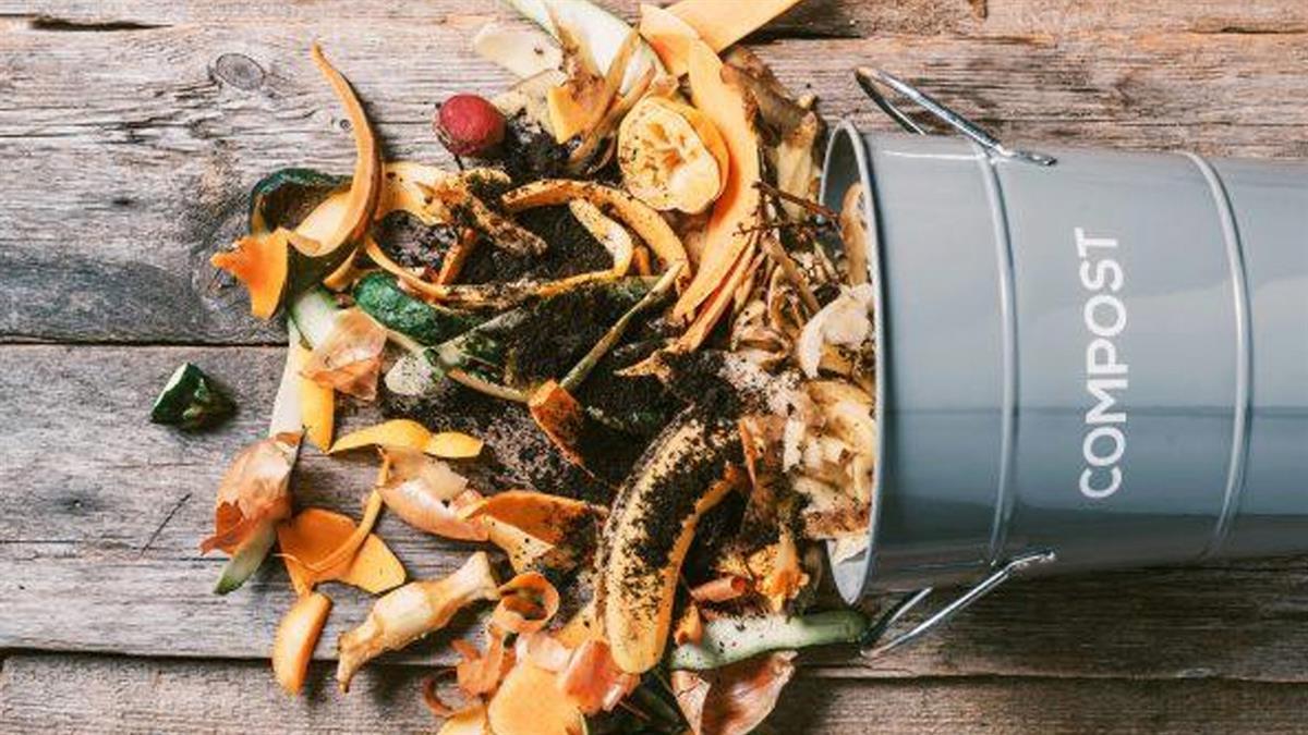 Se implantará una bonificación de 5% en la tasa de basura para los hogares