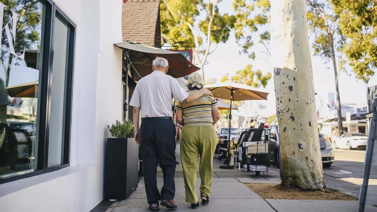 Aprobada en Junta de Gobierno la presentación de la solicitud al IMSERSO, que coordina la Red en España