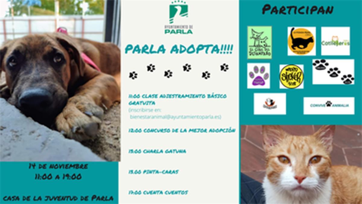 El 14 de noviembre, de 11:00 a 19:00 horas, en la Casa de la Juventud Pedro Zerolo