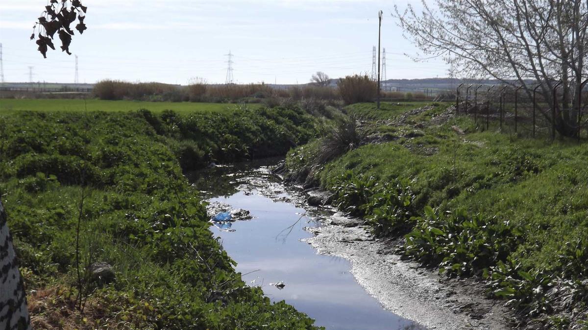 La candidatura es por la Renaturalización del arroyo Humanejos