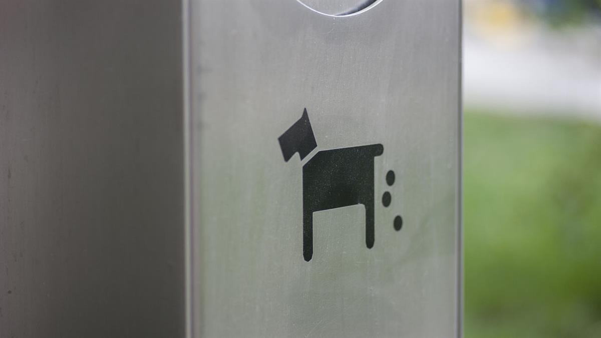 "No ensucies Parla, recoge las cacas" es la nueva iniciativa del Ayuntamiento para acabar con las heces de perro de las calles