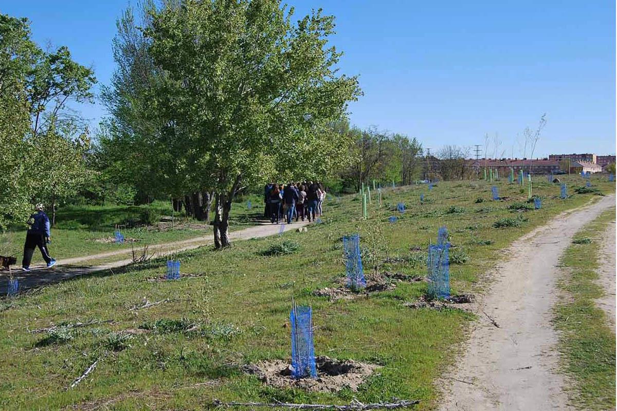 Una iniciativa de la campaña #VerdeNavidad