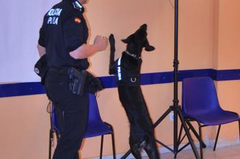 Mediante un convenio de colaboración, y con la intención de mejorar el bienestar animal en la ciudad