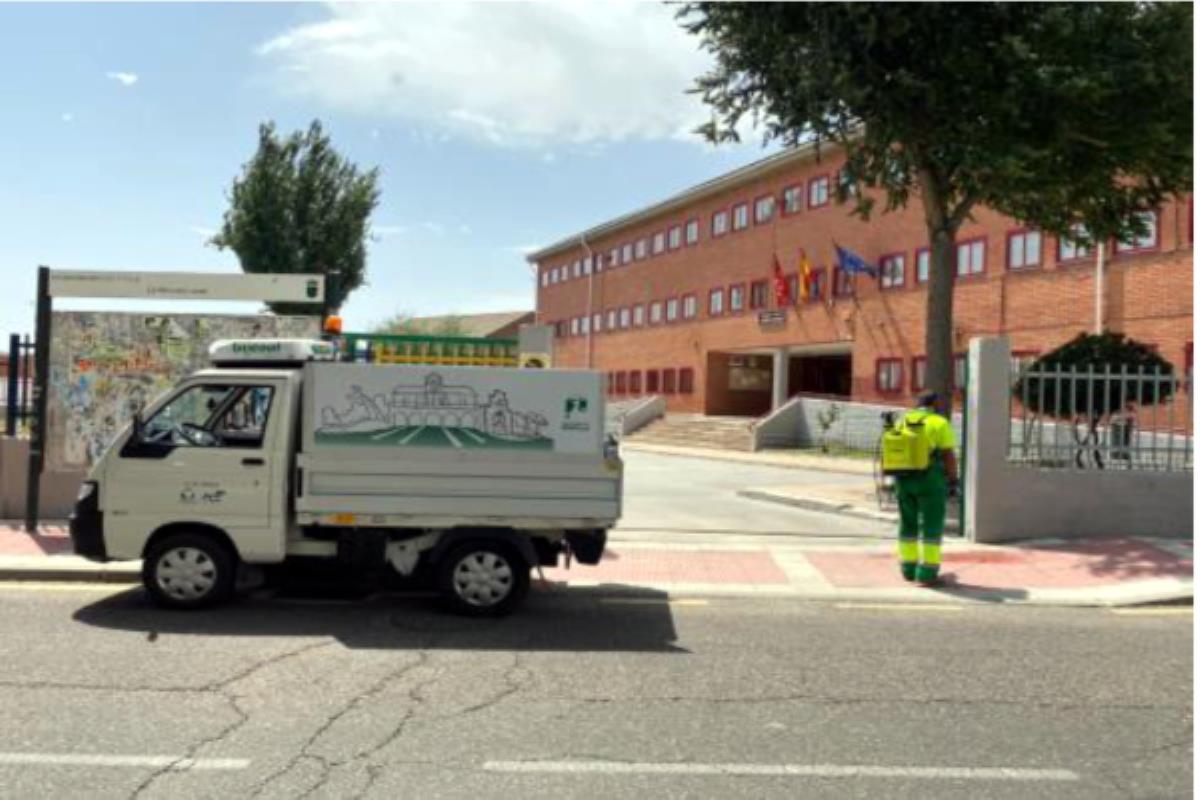 Desde el consistorio han indicado que se quieren recoger las hojas durante su caída de otoño