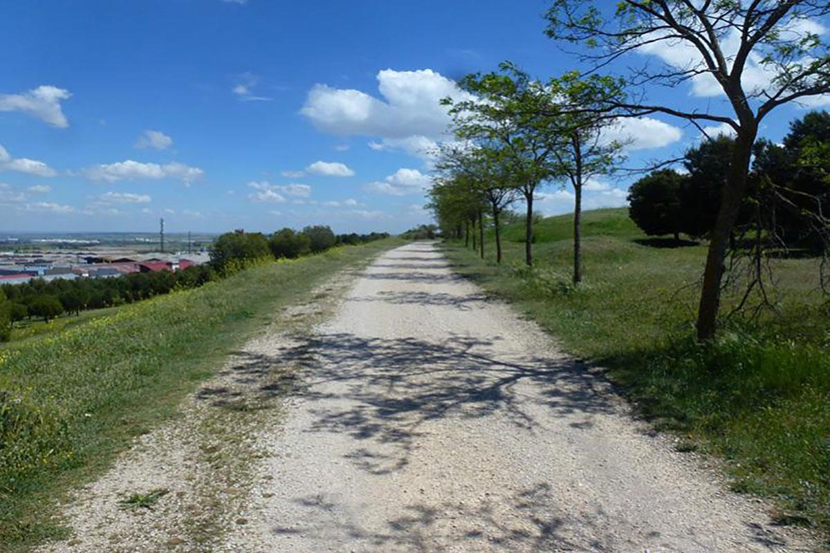 El plan de Corredor Verde da a conocer a los ciudadanos más de 200 km de salud vegetal por la Comunidad de Madrid