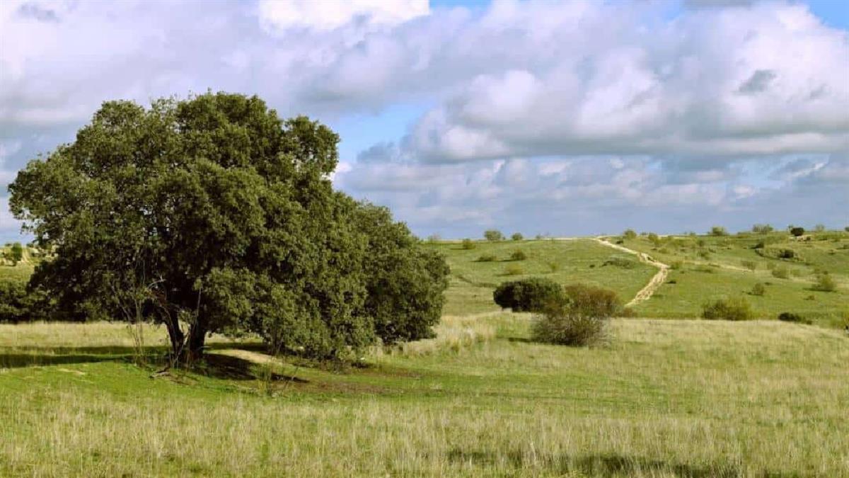 La razón de la investigación de trata por el desarrollo urbanístico de Los Carriles 