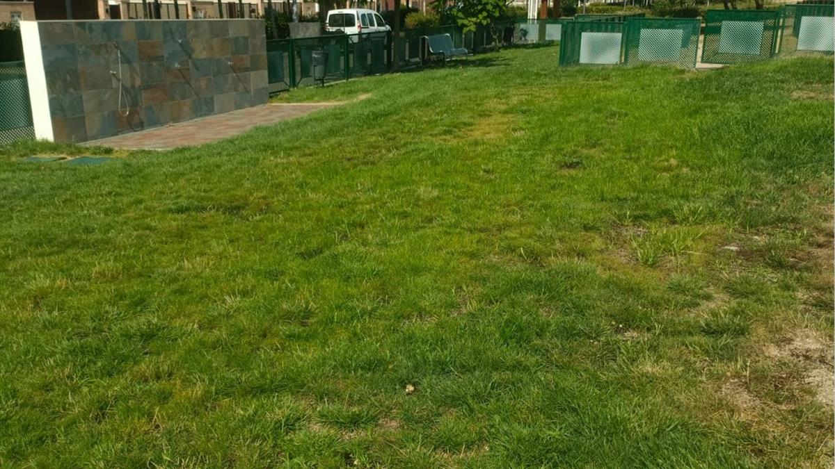 Se han realizado trabajos de escarificado, resiembra y abono del césped para que se recupere la zona verde