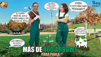 La Comunidad de Madrid va a instalar más de 400 ejemplares de árboles y arbustos