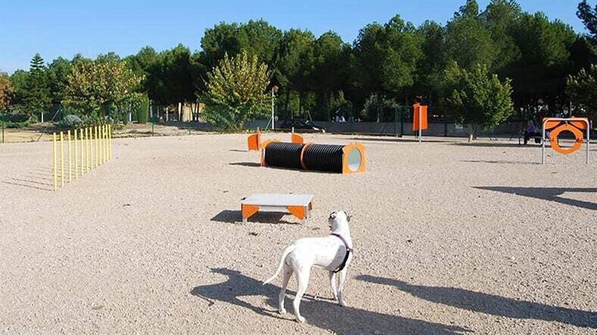 Más Madrid – Ganar Móstoles ha registrado para el pleno del mes de marzo una moción para instar al Gobierno de Móstoles a implementar parques de ocio canino