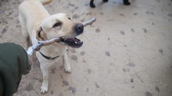 Conoce el curso que se impartirá cuatro sábados por la mañana 