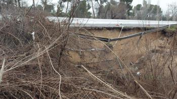 El Ayuntamiento de Sanse reclama a la Confederación Hidrográfica del Tajo que limpie los cauces