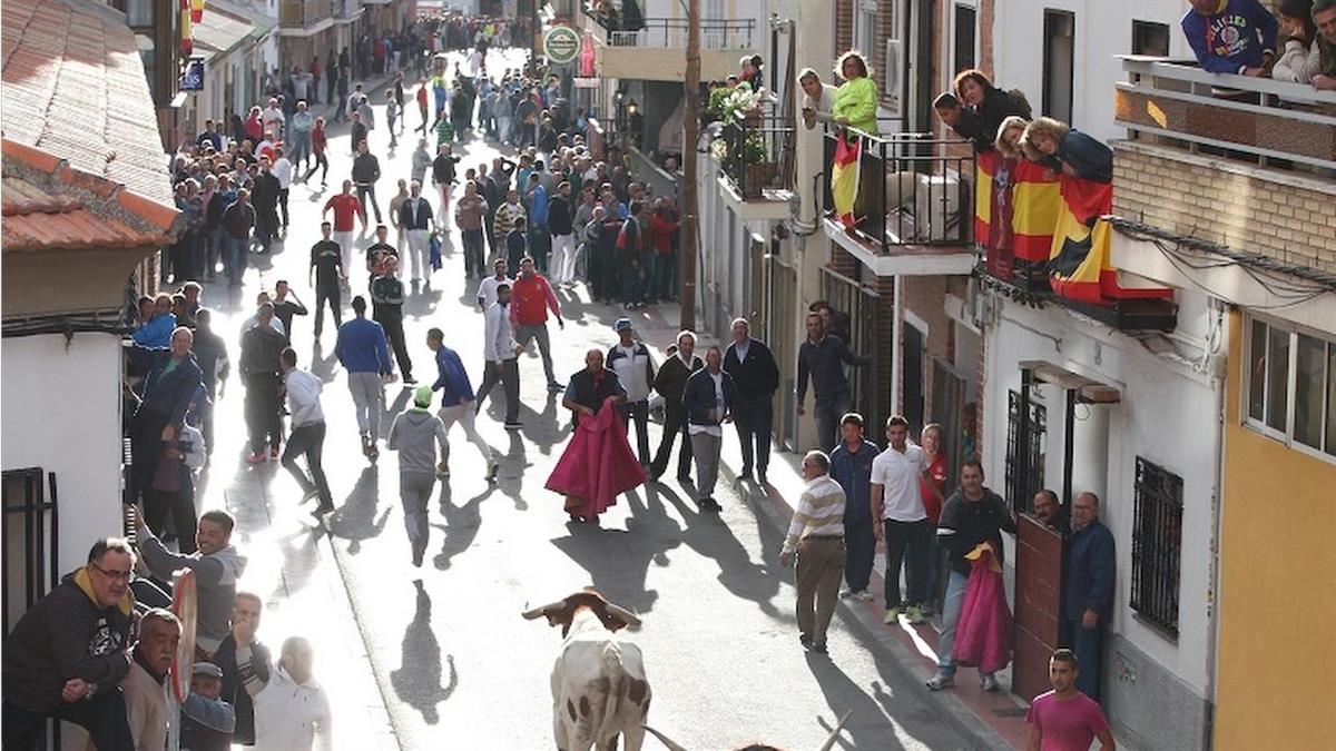 La Federación reclama recuperar tradiciones y explica sus discrepancias con el Ayuntamiento sobre los encierros, a las puertas de un Pleno con dos mociones sobre las fiestas y la tauromaquia