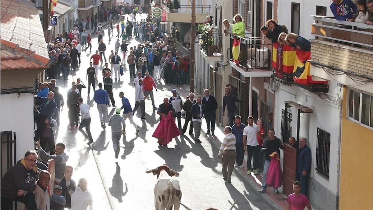 La Federación reclama recuperar tradiciones y explica sus discrepancias con el Ayuntamiento sobre los encierros, a las puertas de un Pleno con dos mociones sobre las fiestas y la tauromaquia