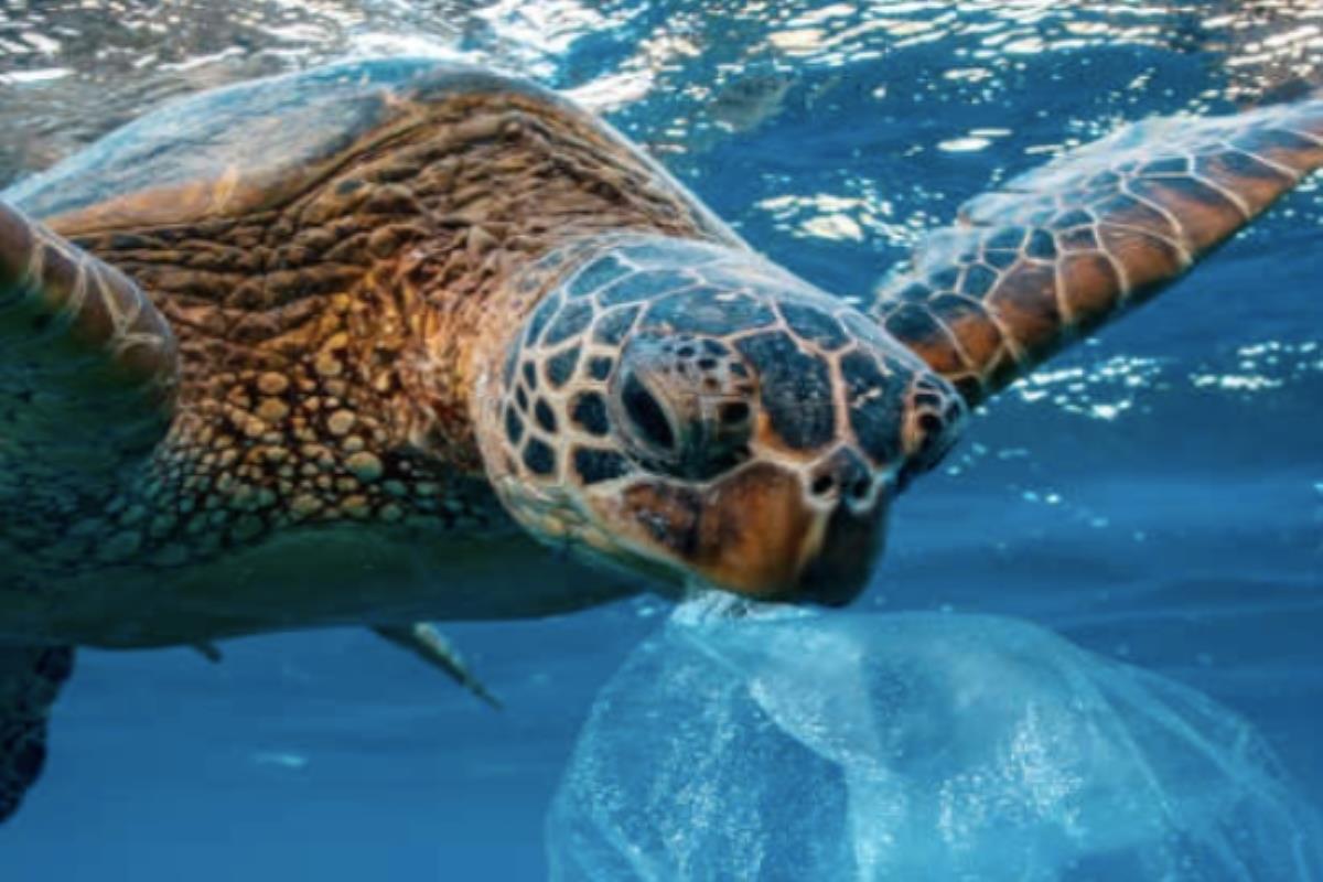 La firma de Majadahonda No + Plastic Waste diseña y fabrica productos reutilizables de larga duración para reducir el plástico de un solo uso