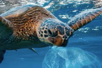 La firma de Majadahonda No + Plastic Waste diseña y fabrica productos reutilizables de larga duración para reducir el plástico de un solo uso