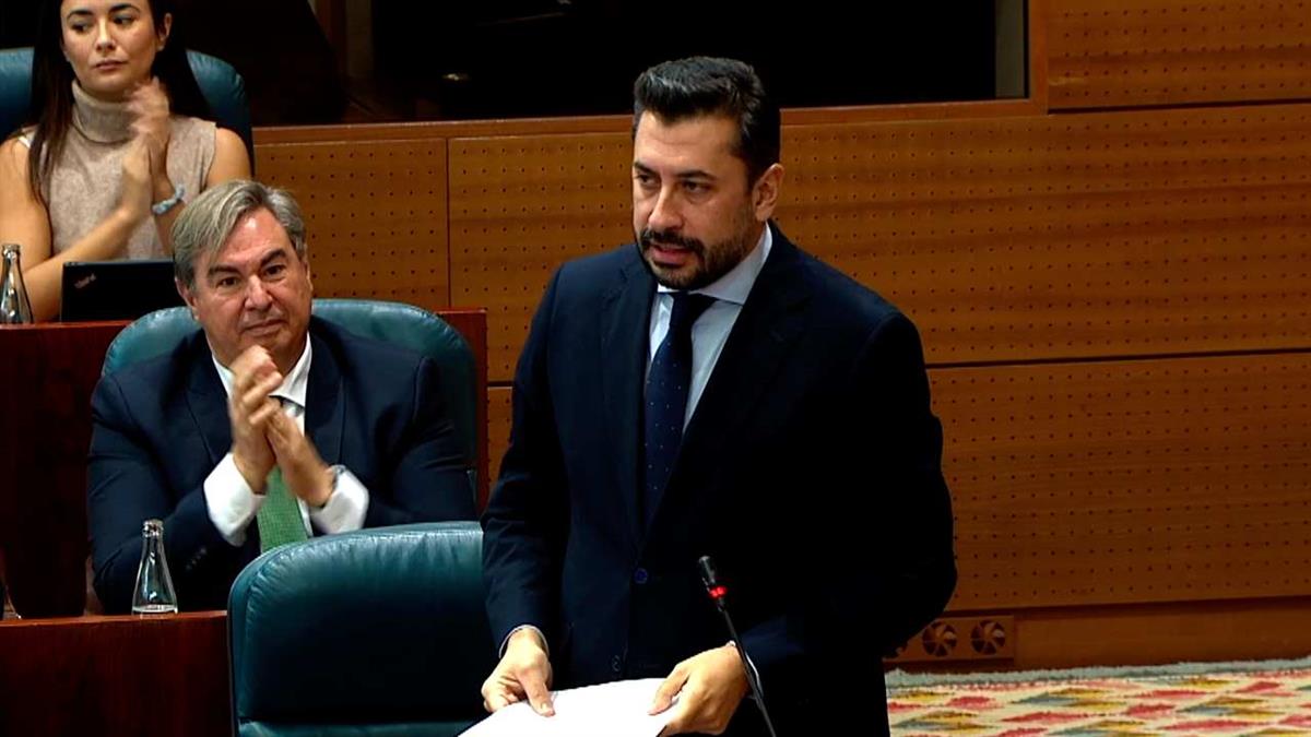 Pache reta a la portavoz del PSOE-M "a sacar medio pie del tiesto de la mafia"