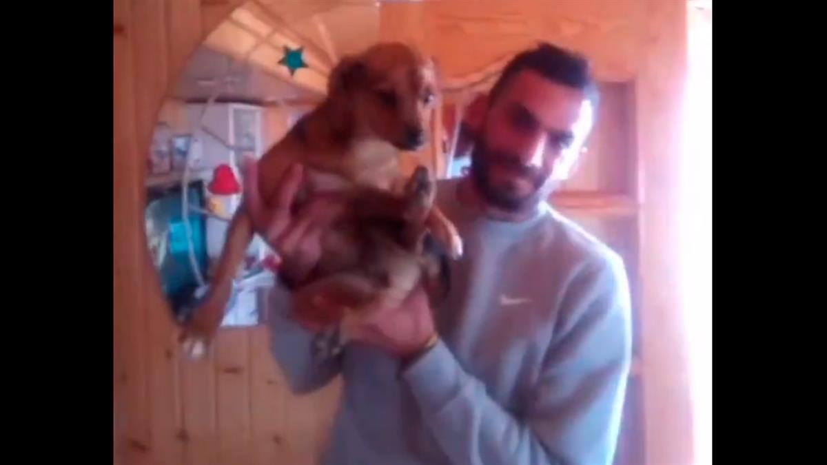 Según él, el can le siguió por la carretera desde su casa