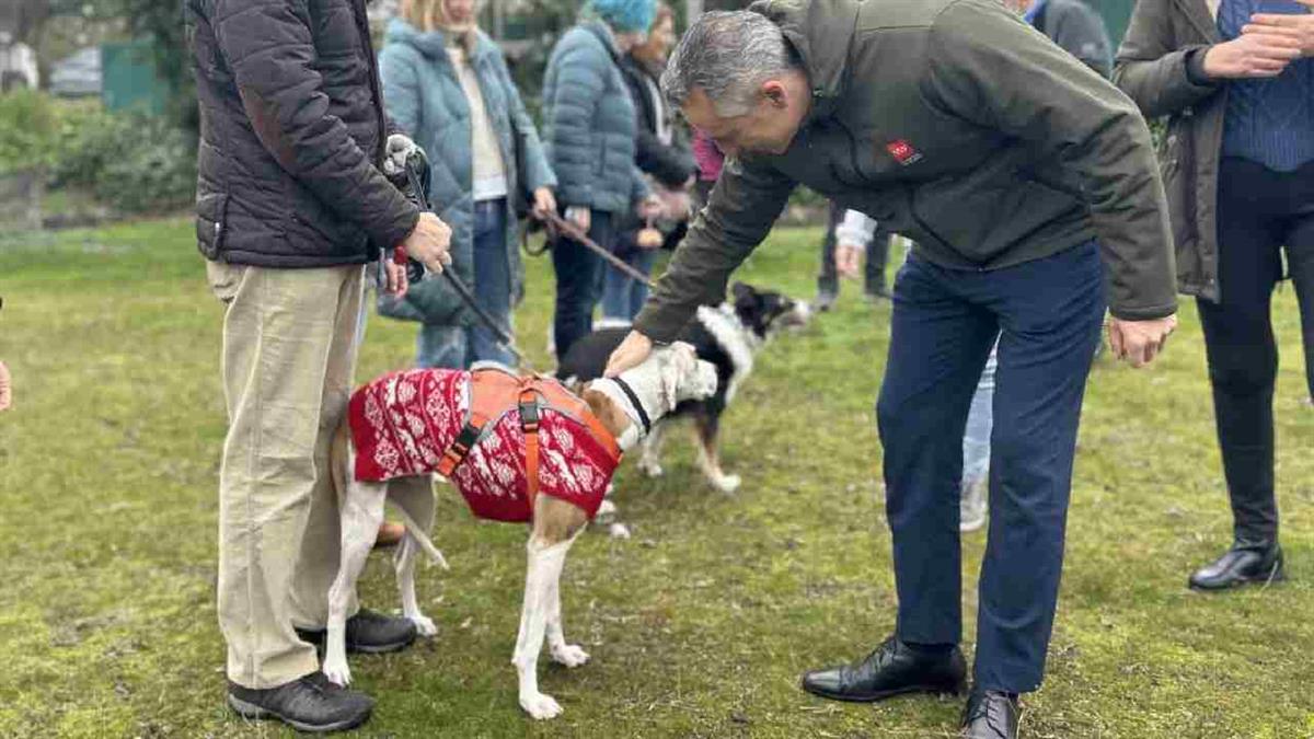 Iniciativas como 'El Plan es Adoptar' y el Salón de adopción dan estos positivos resultados
