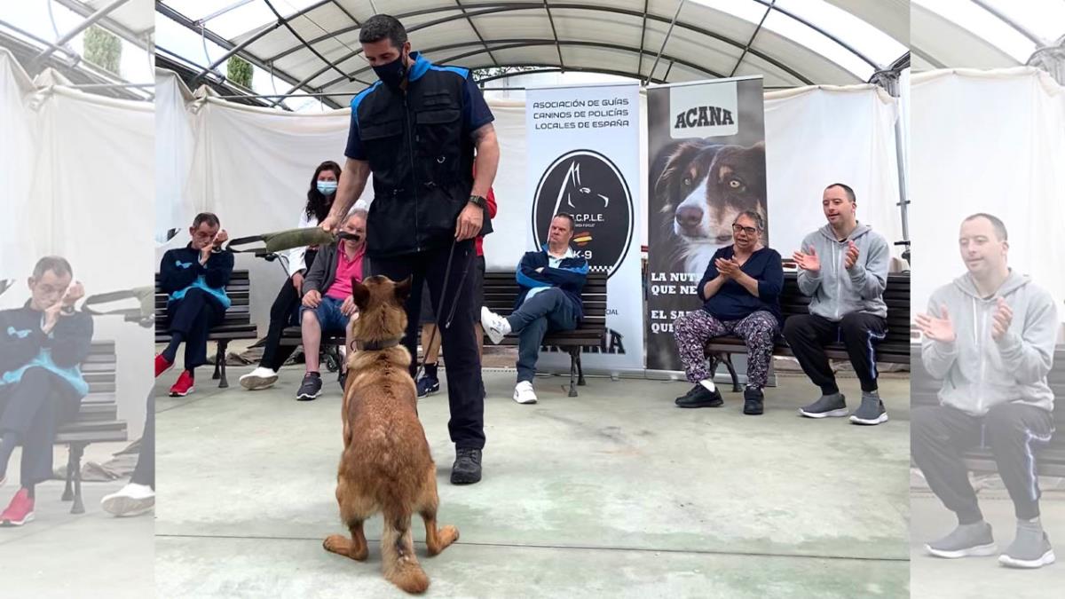 Los alumnos con discapacidad funcional pudieron disfrutar de la compañía de los perros e interactuar con ellos
