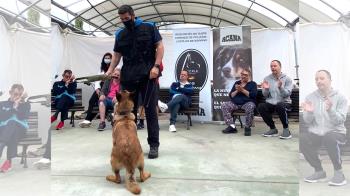 Los alumnos con discapacidad funcional pudieron disfrutar de la compañía de los perros e interactuar con ellos