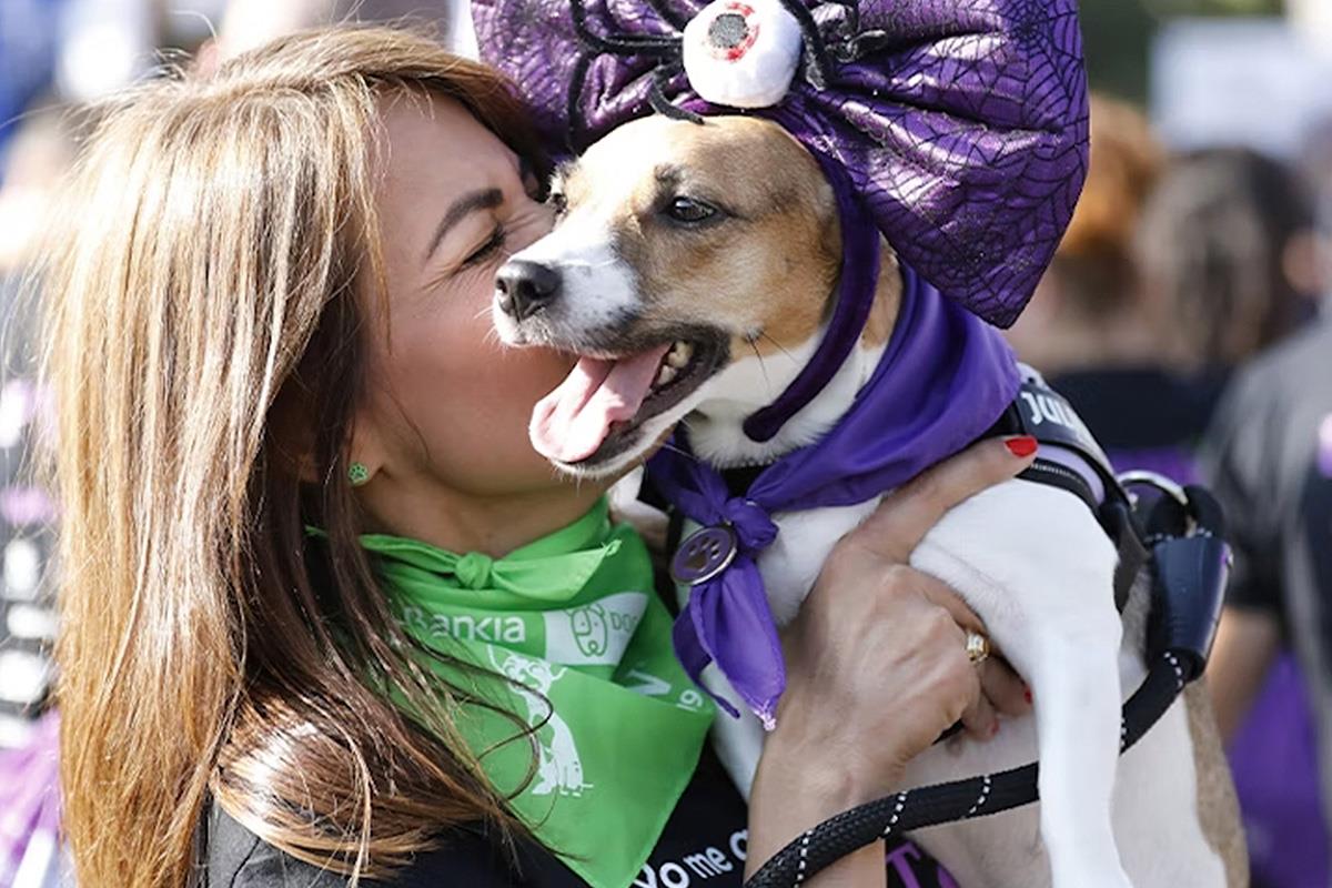 Un año más, contará con la presencia de la reina Doña Sofía como Presidenta de Honor
