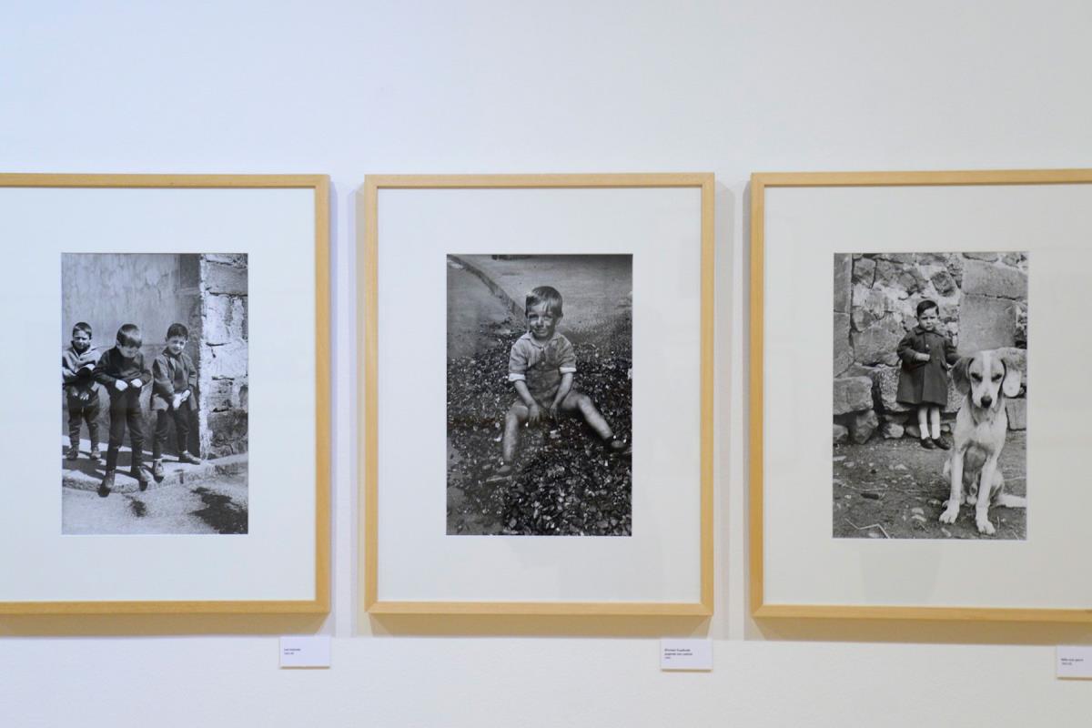 La muestra, comisariada por Esteban Sainz y Feliciano López Pastor, se podrá visitar hasta el 6 de septiembre