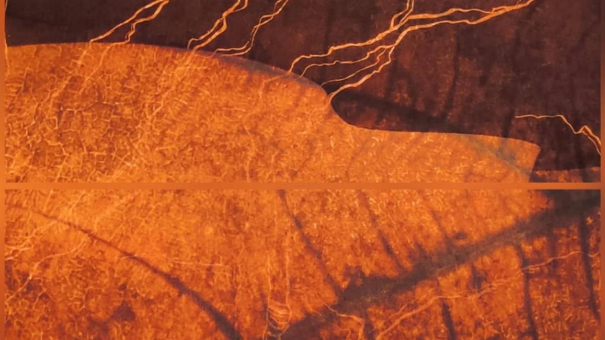 El Centro Sociocultural Joan Miró acoge la obra de Pilar Morales