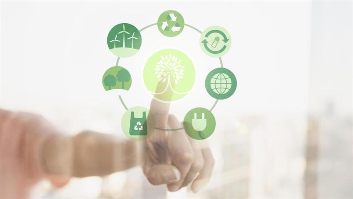 En el marco del Día Mundial por la Reducción de las Emisiones de CO2