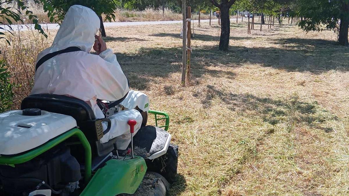 Unos trabajos de desbroce que el ayuntamiento ha venido realizando en las parcelas públicas 