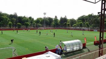 El campeonato se jugará en el Polideportivo Ernesto Cotorruelo de Madrid 