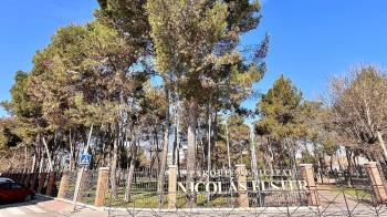 El servicio de Jardinería de Aserpinto ha empleado métodos fitosanitarios