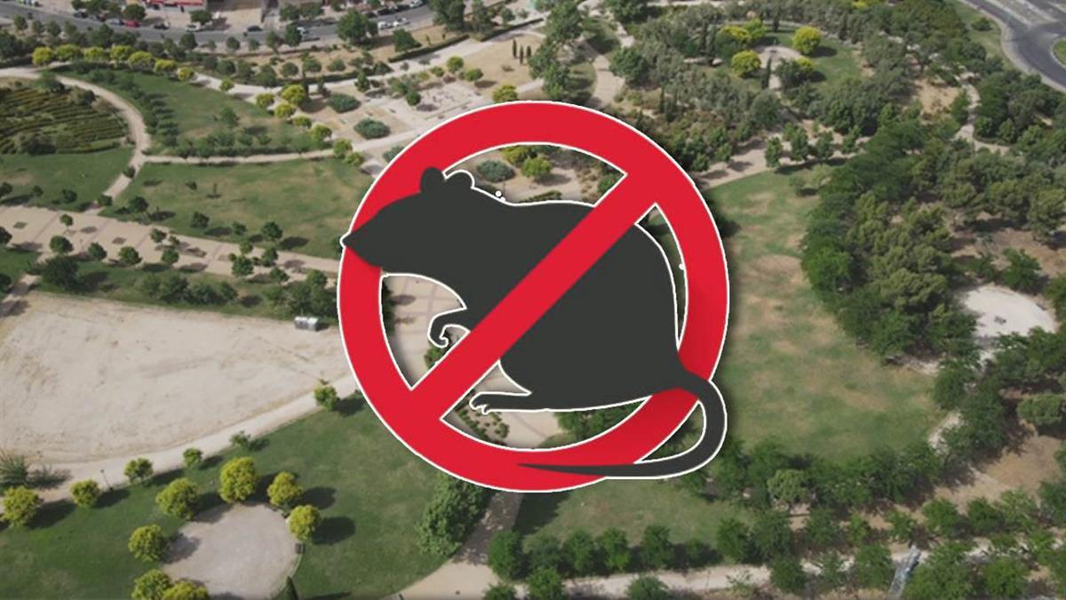 Desde la concejalía de Salud Pública se ha puesto en marcha un tratamiento de choque