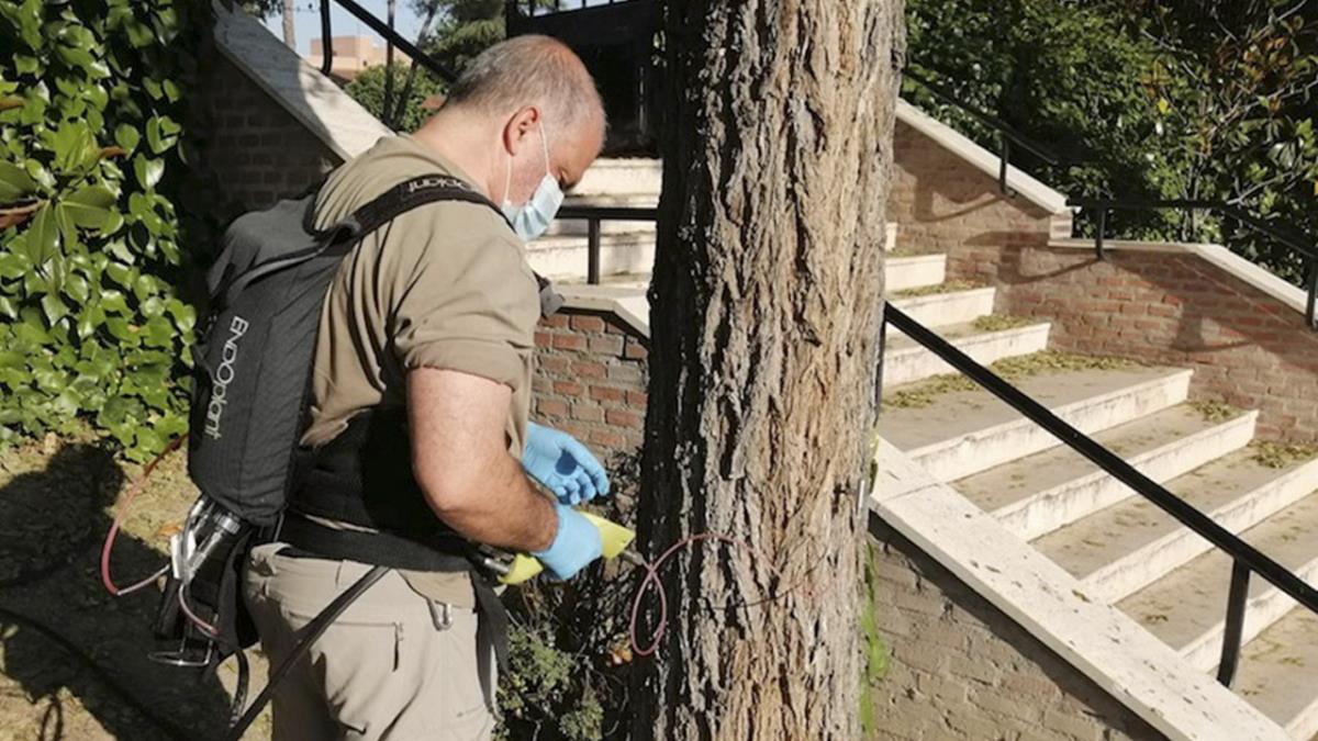 El Ayuntamiento comienza su control de población