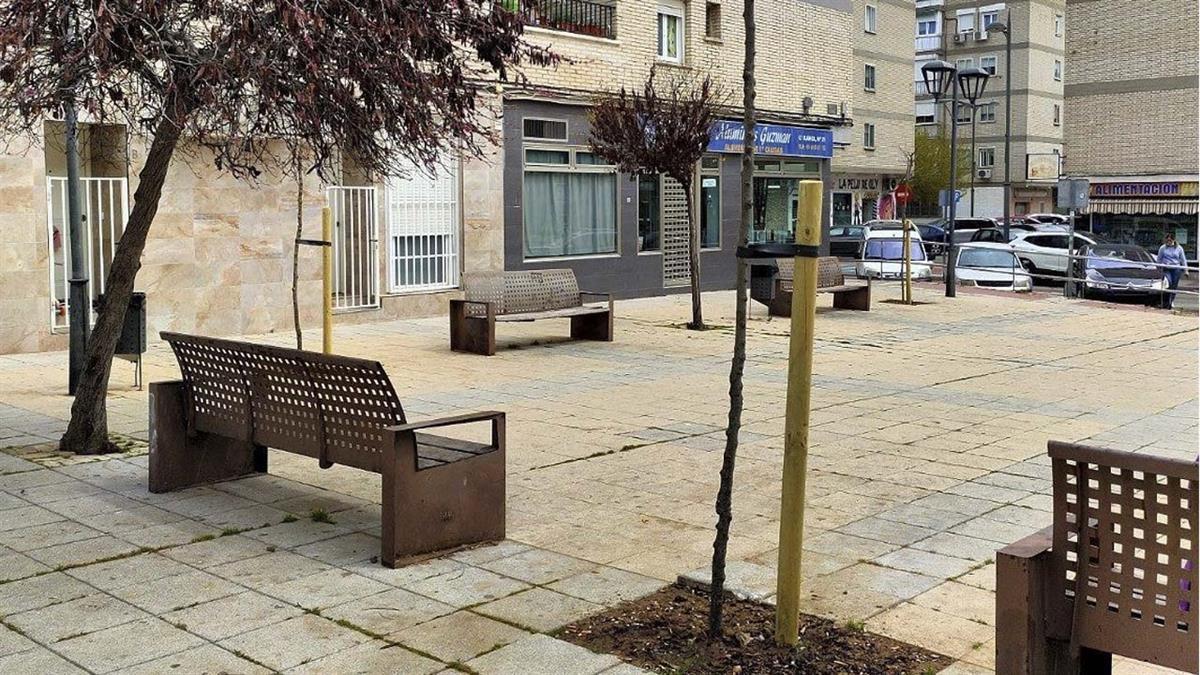 Gracias a la primera fase del Plan de arbolado urbano 