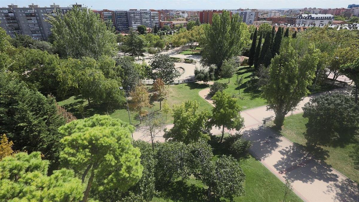 El Ayuntamiento revisará el estado de los árboles en todos los barrios, sustituirá ejemplares deteriorados y promoverá nuevas plantaciones con la participación de colegios
