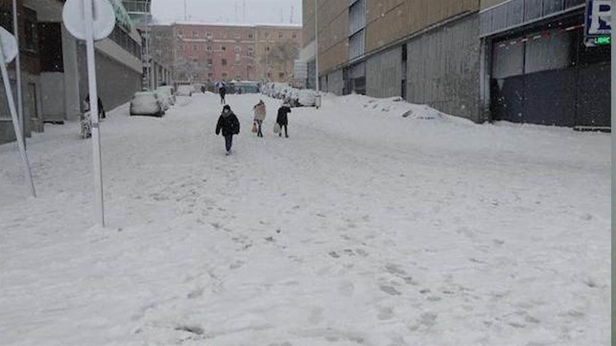 Del 1 al 15 de diciembre se entregará a vecinos en diferentes puntos de la ciudad