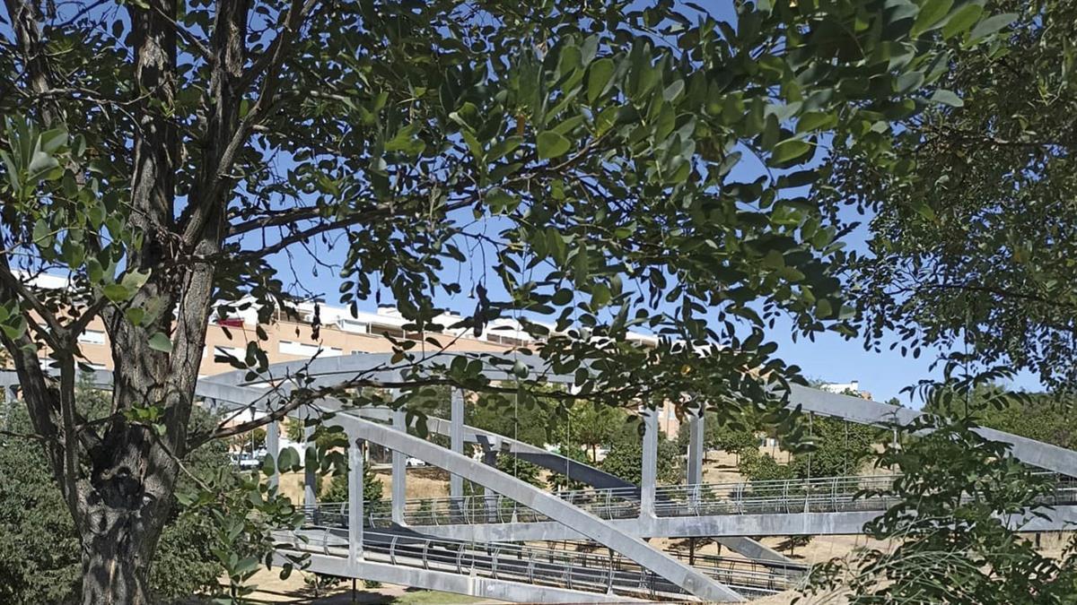 La finalidad es enriquecer la vegetación de las vías, plazas y otras zonas comunes