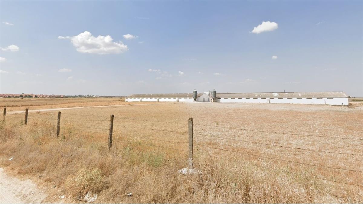 De momento se han posicionado en contra hasta que no tengan los resultados en cuanto a su viabilidad y seguridad