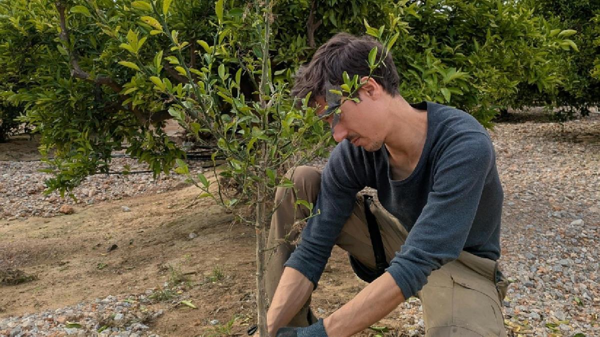 Ya están abiertas las inscripción para la plantación de árboles en homenaje a los niños nacidos en 2024 