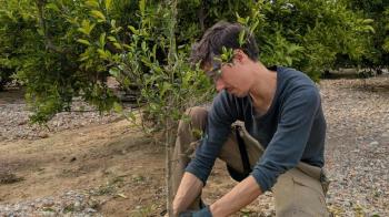 Ya están abiertas las inscripción para la plantación de árboles en homenaje a los niños nacidos en 2024 