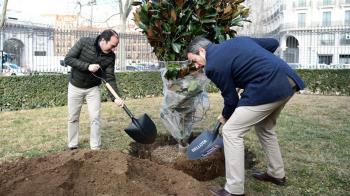 El Ayuntamiento de Madrid continúa con su trabajo de recuperación del patrimonio verde de los parques y jardines de la ciudad