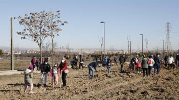 En un año, Parques y Jardines ha multiplicado por diez la masa arbórea con 2.228 árboles y 17.850 arbustos
