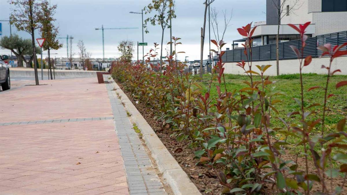 En las avenidas de la Armada Española y el Pastel