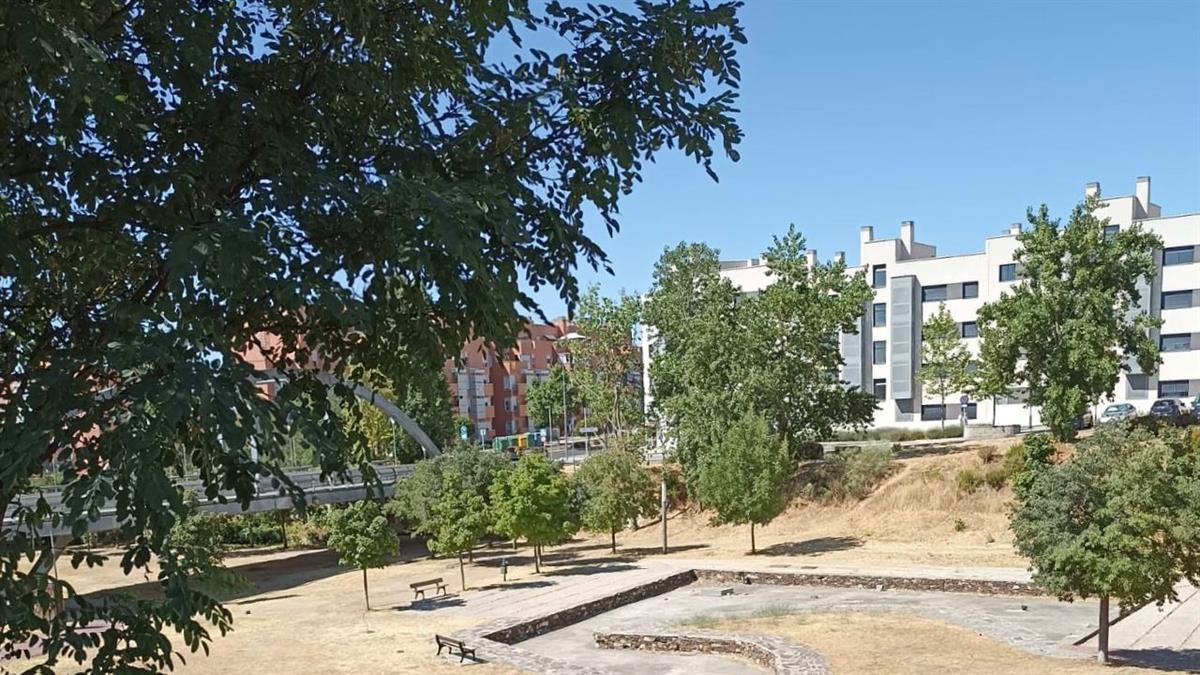 Se seleccionará la vegetación más adecuada para rellenar los alcorques