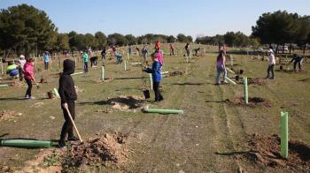Los estudiantes participan en una jornada conjunta en la que plantarán medio millar de árboles
