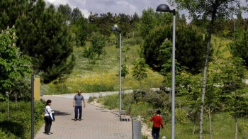 El gobierno municipal aprueba un contrato de 363.000 euros para la plantación de árboles