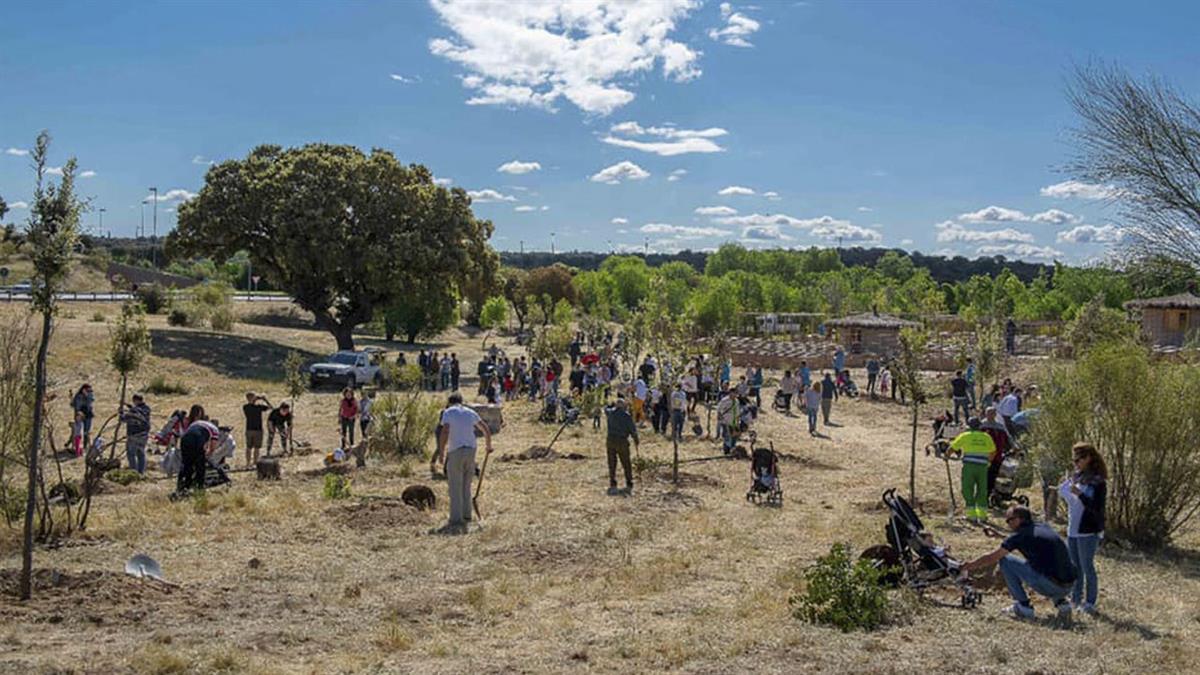 Una plantación de árboles homenajea a los niños que vinieron al mundo en 2022